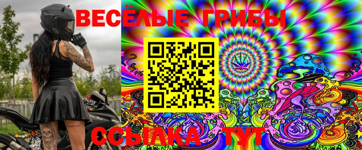 Псилоцибиновые грибы Magic Shrooms  Вход с VPN  Псилоцибиновые грибы Cubensis  наркота  Елизово 